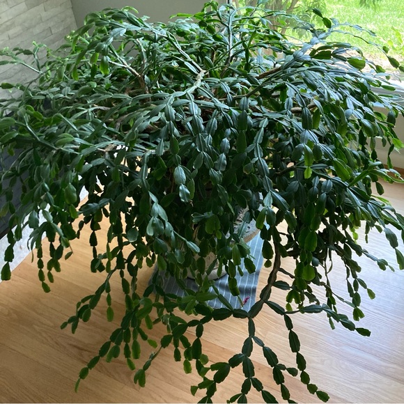 🖤Perfect fit pants-Smooth jersey fabric comfortable stretch-flat front easy car - Picture 8 of 8